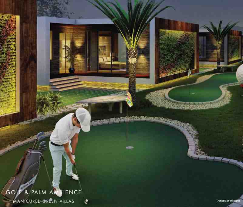 Golf & Palm Ambience