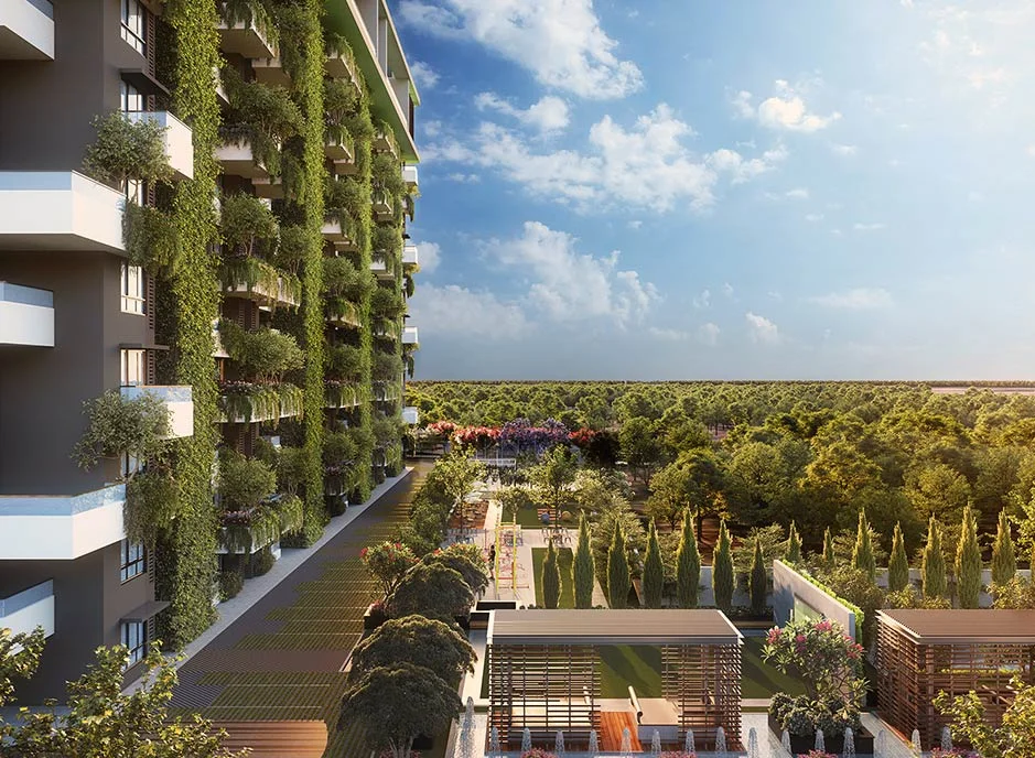 BCM Panache - Bringing the Outside In